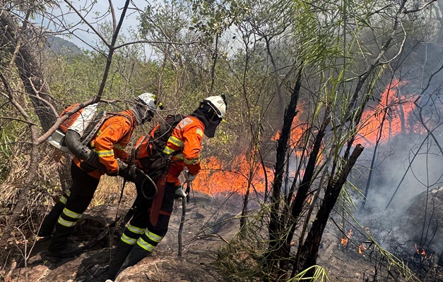 Brigadistas combatem incêndio em Cavalcante