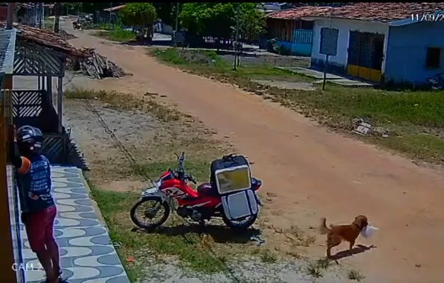 Cachorro furta pedido durante entrega e deixa motoboy confuso