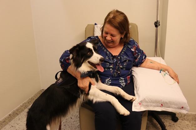 Cães visitam pacientes do Instituto Goiano de Oncologia e Hematologia