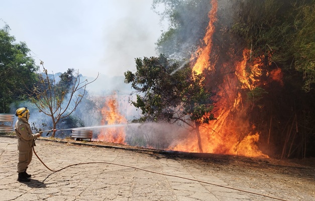 Caiado critica 'omissão' do governo federal no combate a incêndios