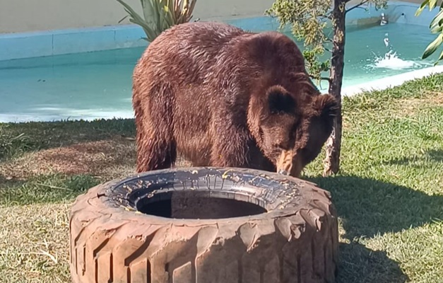 Calor: Zoológico de Goiânia adota medidas para garantir bem-estar de animais