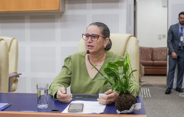 Câmara derruba veto ao pagamento retroativo do piso salarial dos professores