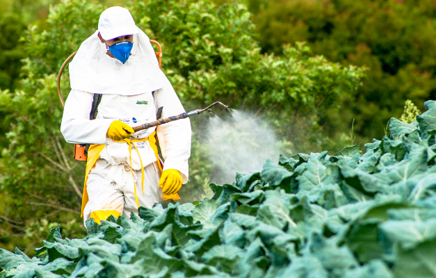 Câmara discute propostas polêmicas sobre orgânicos e agrotóxicos