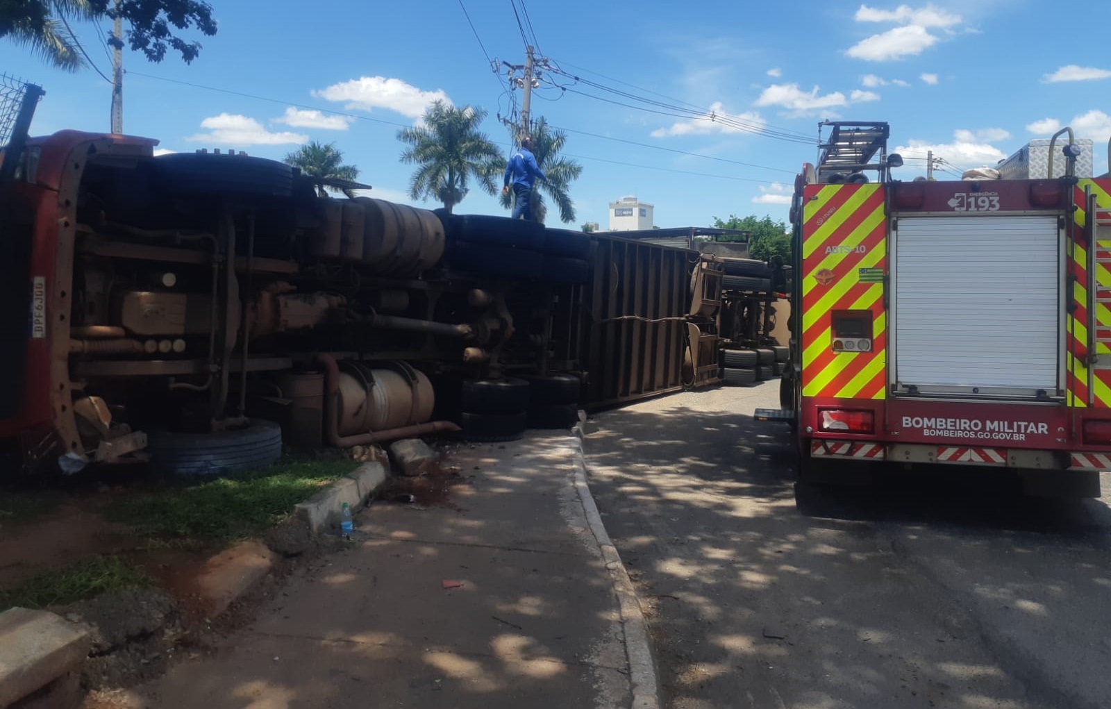 Caminhão com carga de bovinos tomba em rotatória de Goiânia 
