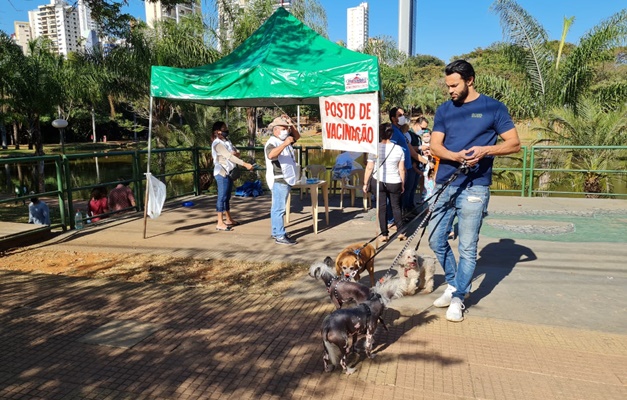 Campanha de Vacinação Antirrábica em Goiânia começa neste sábado (14)