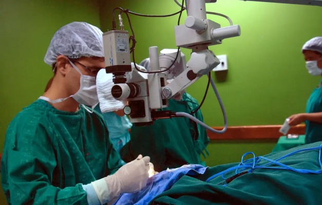 Câncer de intestino que vitimou Preta Gil é o 3º mais comum no país