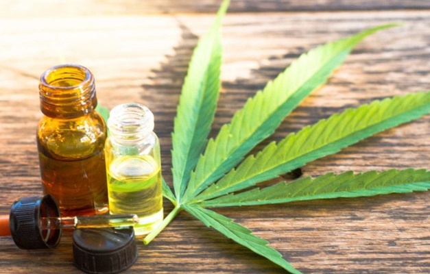 Cannabis medicinal pode render R$ 4,7 bi ao setor farmacêutico em três anos 