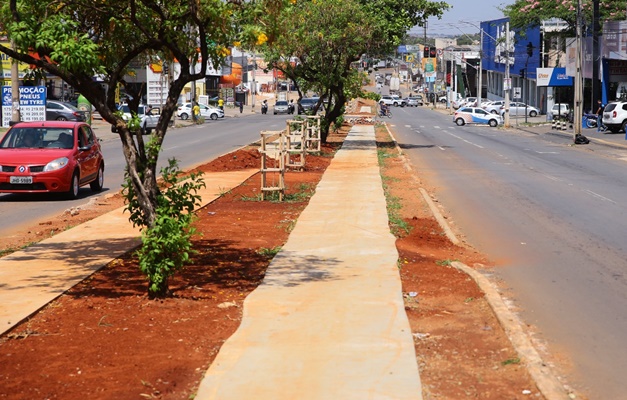 Canteiro central da Avenida Rio Verde será transformado em parque linear