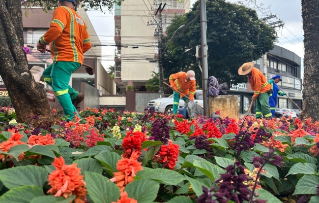 Canteiros e jardins de praças recebem novas mudas em Goiânia