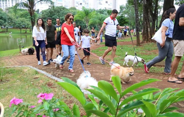 Cãominhada mobiliza tutores no combate a maus-tratos contra pets, em Goiânia