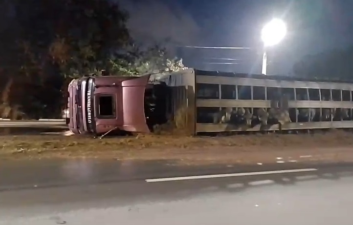 Carreta que transportava gado tomba na Avenida Perimetral Norte, em Goiânia