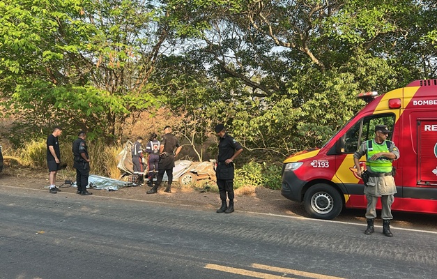 Carro colíde com árvore e deixa um morto na GO-080 em Goianésia