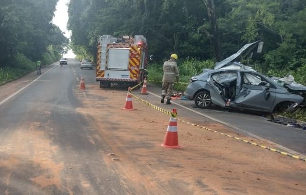 Carro pega fogo depois de acidente na GO-060 em Palmeiras de Goiás