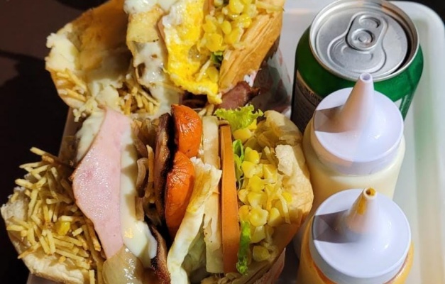 Cartilha orienta donos de pit-dogs sobre novas regras em Goiânia