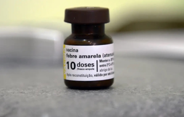 Casos de febre amarela são confirmados em macacos em Ribeirão Preto