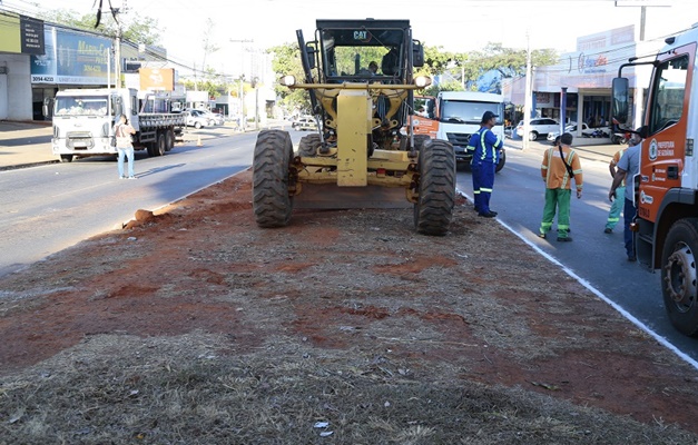 CAU Goiás questiona retirada de 132 árvores na Avenida Rio Verde