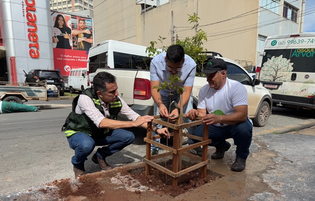 Centro de Goiânia recebe mais de 100 novas mudas de árvores