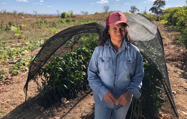 Centro-Oeste: Massa de ar seco e diminuição das chuvas impactam agricultura