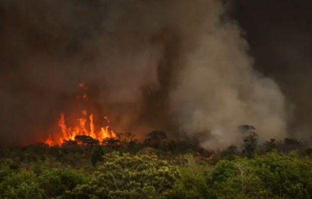 Cerrado tem 8,4 milhões de hectares atingidos pelo fogo em 9 meses