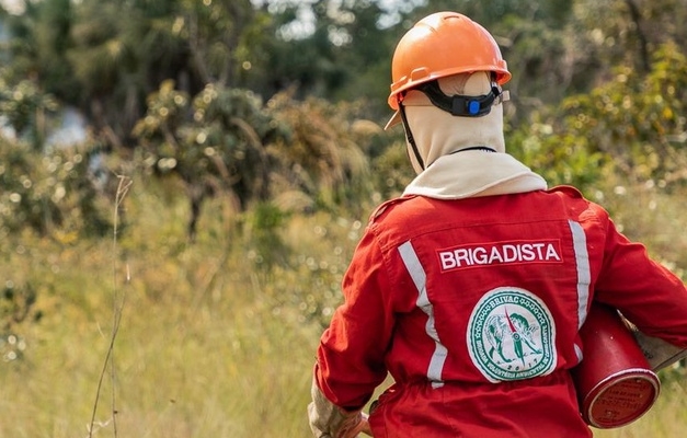 Chapada dos Veadeiros adota queima prescrita contra incêndios