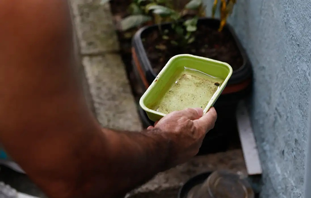 Chikungunya traz preocupações após uma década de presença no Brasil