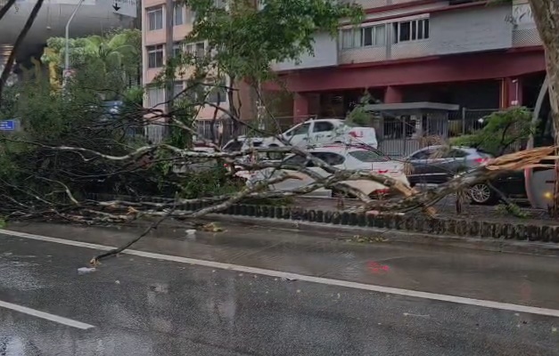 Chuva e ventos de 87 km/h provocam cancelamentos de voos em Congonhas