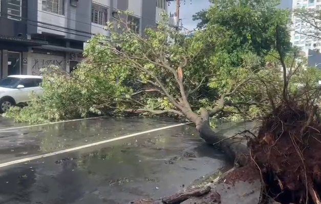 Chuva forte causa alagamentos e queda de árvores em Goiânia