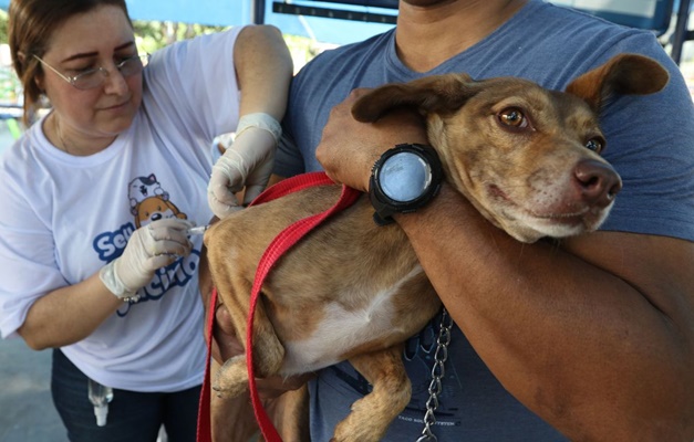 Cidades goianas realizam mutirão de vacinação contra raiva em cães e gatos