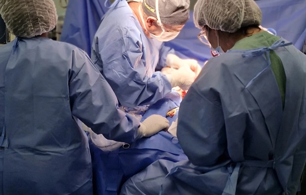 Cirurgia separa gêmeas siamesas Kiraz e Aruna em Goiânia