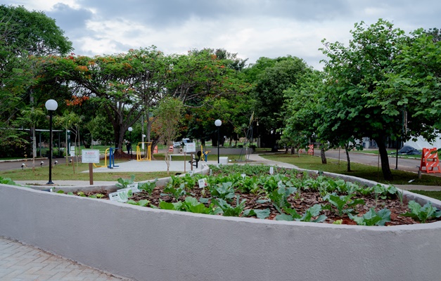 Colônia Santa Marta inaugura Jardim Sensorial dos Sinos em Goiânia