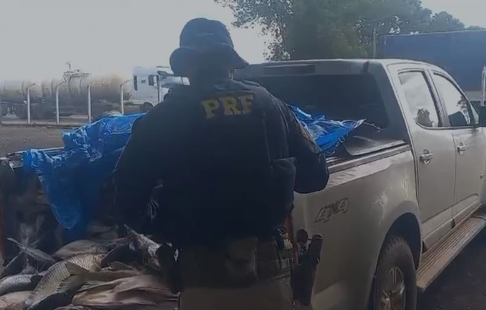 Comerciante é flagrado com 1 tonelada de pescados sem refrigeração em Goiás
