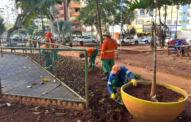 Comurg muda paisagismo nas praças do Avião, Cirrose e Tamandaré, em Goiânia