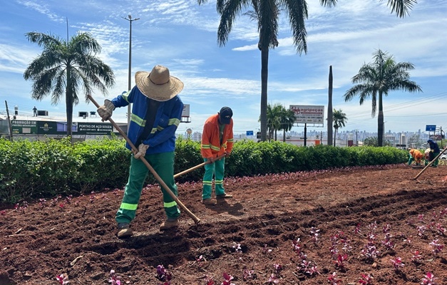 Comurg prevê plantio de 76,8 mil mudas em Goiânia até fim de dezembro