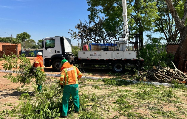 Comurg realiza poda preventiva em quase 90 mil árvores em Goiânia 