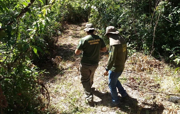 Concurso oferece 98 vagas para técnico e analista ambiental em Goiás
