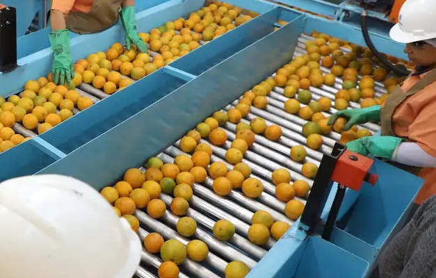 Confira a lista de quase 700 produtos que não serão taxados pelos EUA