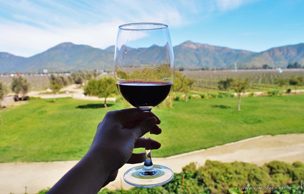 Conheça 5 roteiros de vinho para desfrutar no Chile