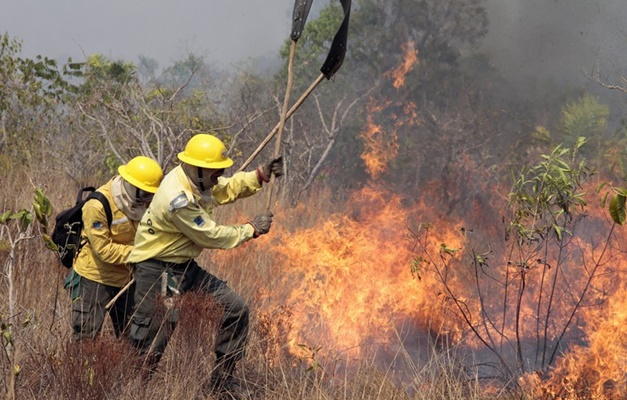 Corpo de Bombeiros alerta para aumento de incêndios florestais em Goiás