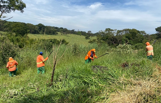 Córregos Fundo, Caveirinha e Capim Puba passam por roçagem em Goiânia