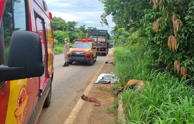 Criança de onze anos morre atropelada na GO-118, em Campos Belos