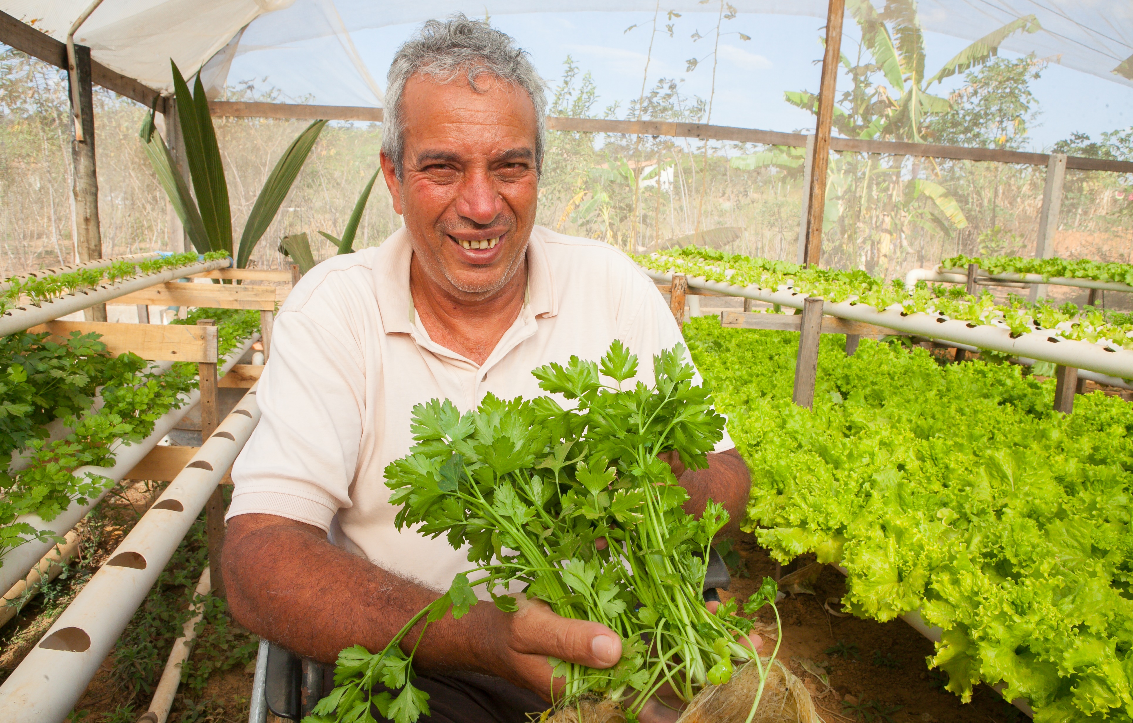 Curso de hidroponia do Senar Goiás facilita trabalho de produtores