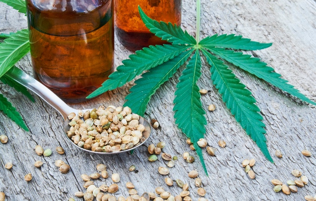 Curso sobre uso medicinal da maconha será ministrado em Goiânia