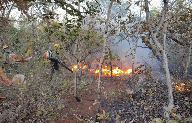 Decreto do governo de Goiás garante ação rápida contra incêndios florestais