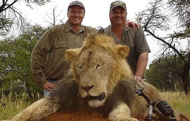 Dentista americano é suspeito de ter matado leão Cecil, símbolo no Zimbábue