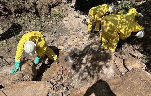 Descontaminação da margem do Rio Vermelho ainda não tem prazo para terminar