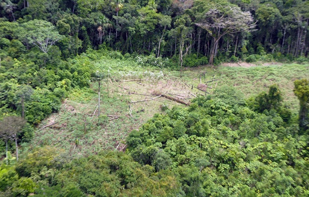 Desmatamento cai 18% na Amazônia Legal em um ano