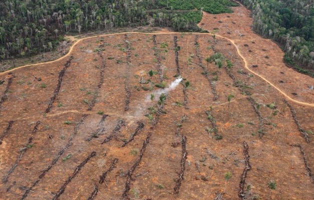 Desmatamento cresce em Unidades de Conservação no meio da Amazônia