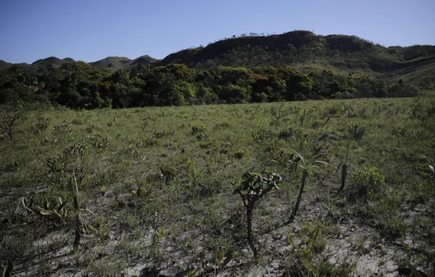 Desmatamento do Cerrado cresce 3% em um ano; área atinge 11 mil km²