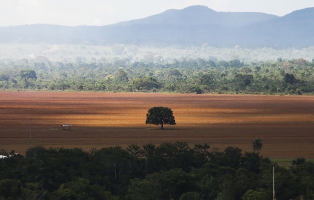 Desmatamento do Cerrado pode afetar oferta de água em 119 cidades goianas