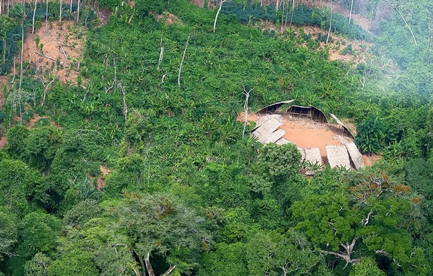 Desmatamento em áreas protegidas da Amazônia cai 73% em 2023